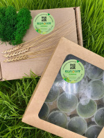 Витграсс Сок 30 дней (Wheatgrass),SUNOVIT GREEN, 30 порций по 30 мл